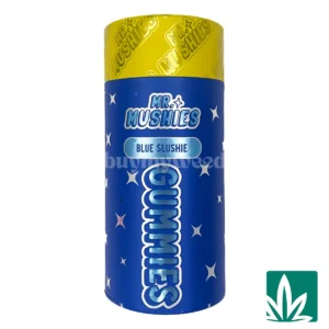 Mr Mushies Gummies (4g) – Blue Slushie