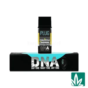 Plug Play Pods (1g) – Pineapple Express