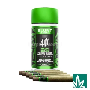 STZY .5G 40’s Infused Mini Blunts 5 Pack (2.5g) – Magic Melon