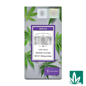STZY Pods (1g) – Purple Punch