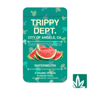 Trippy Dept (4g) Nano Gummy – Watermelon