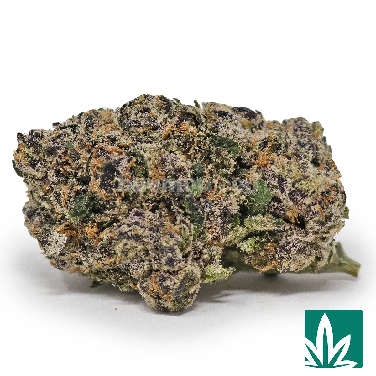 Bubblegum Gelato