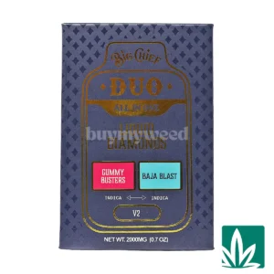 Big Chief Duo All in One 2g – Gummy Busters x Baja Blast