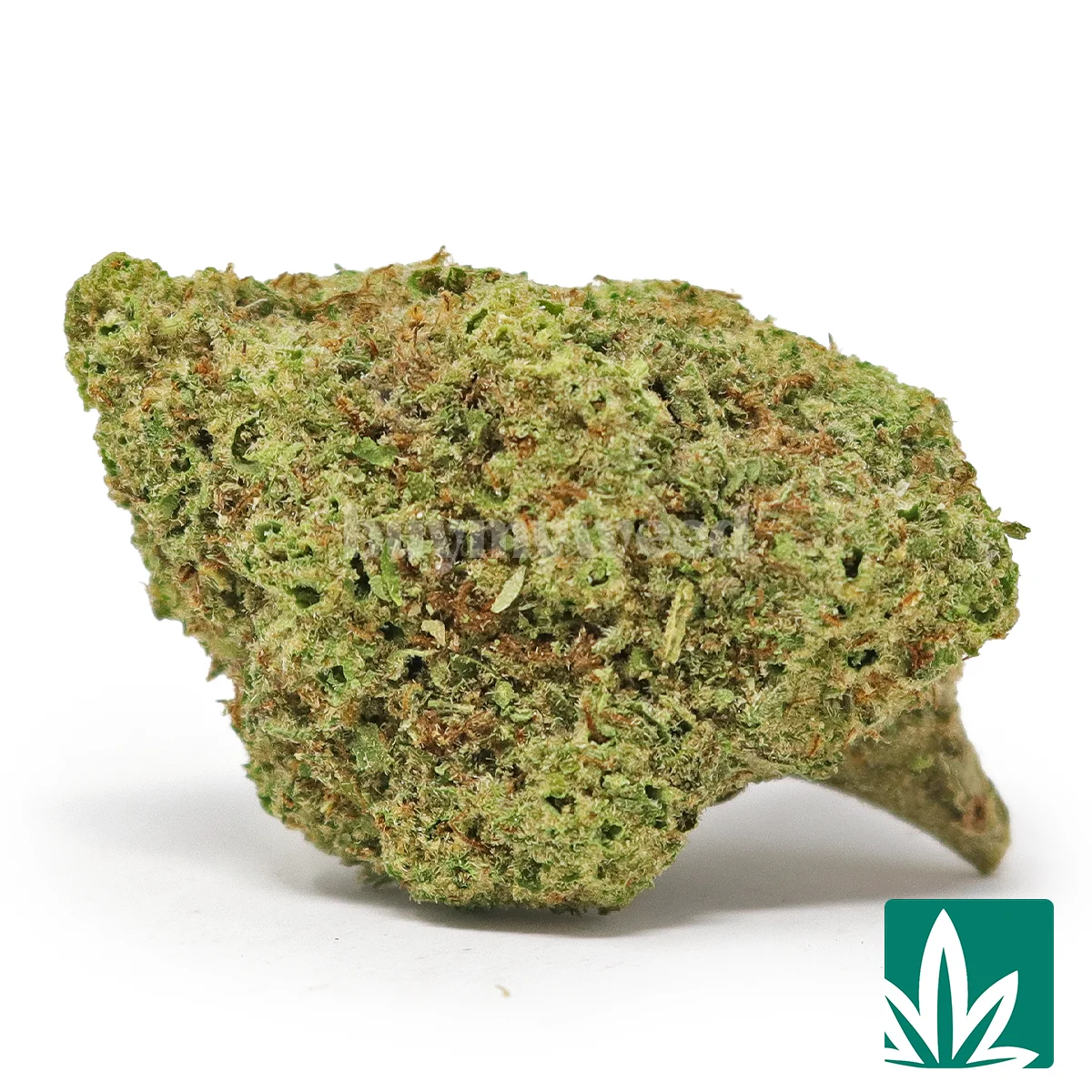 Hardcore OG