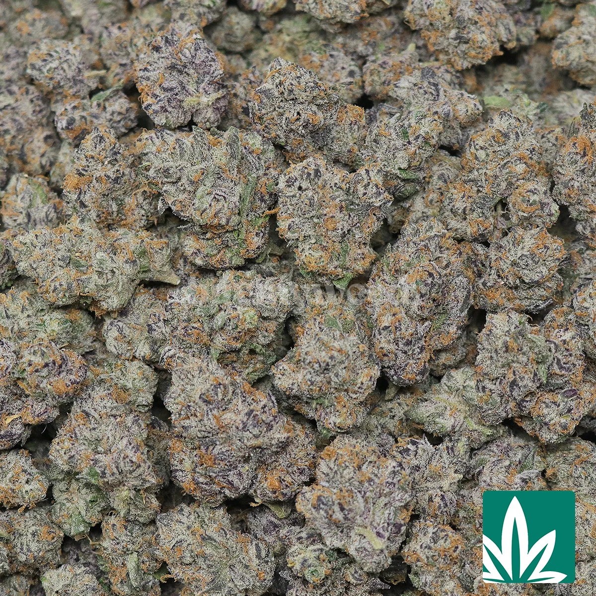 HFCS - Image 2