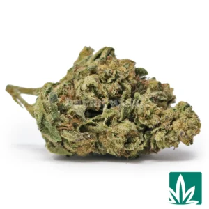 Lemon Cherry Gelato