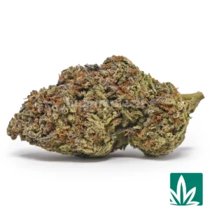 Lemon Haze