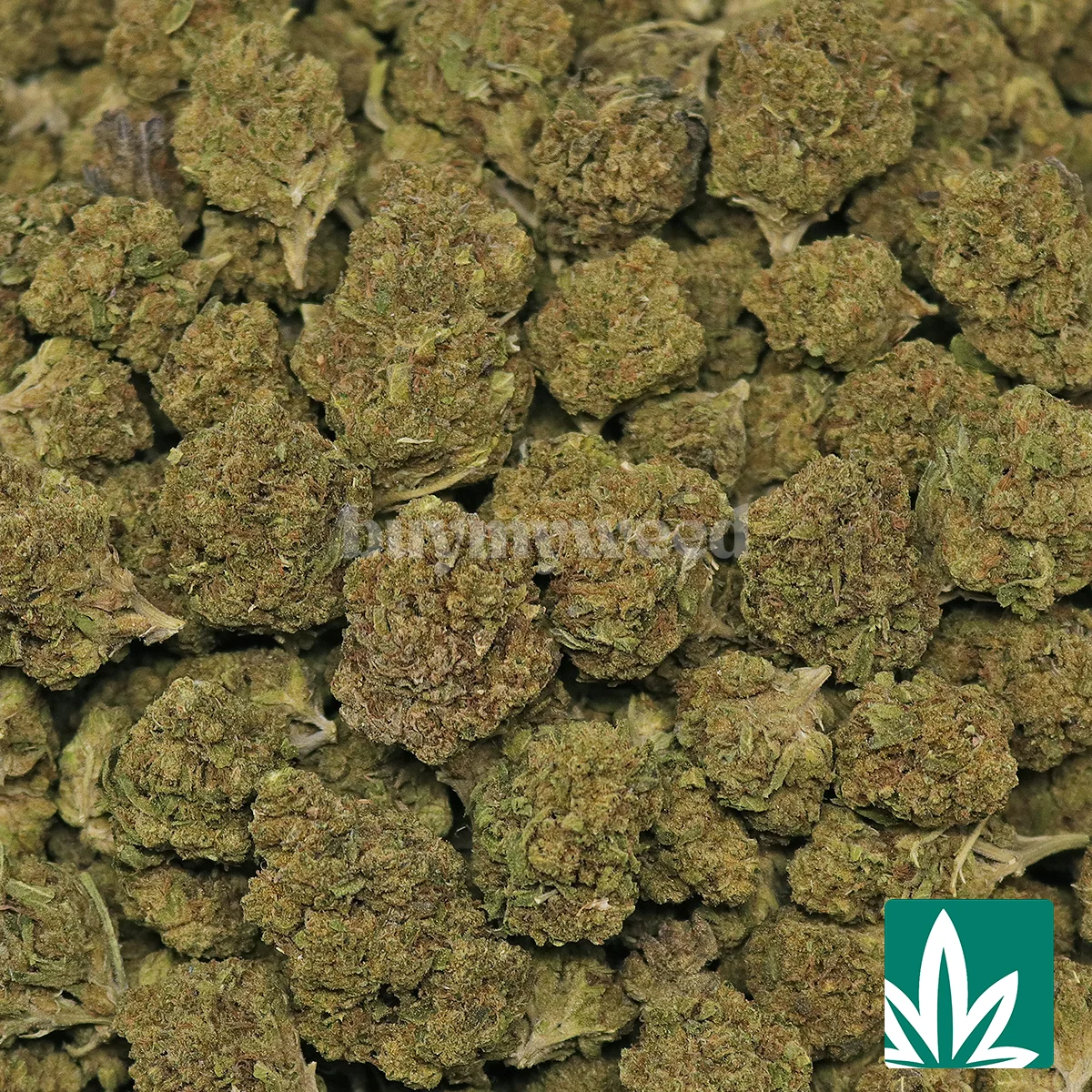 Pink Runtz - Image 2